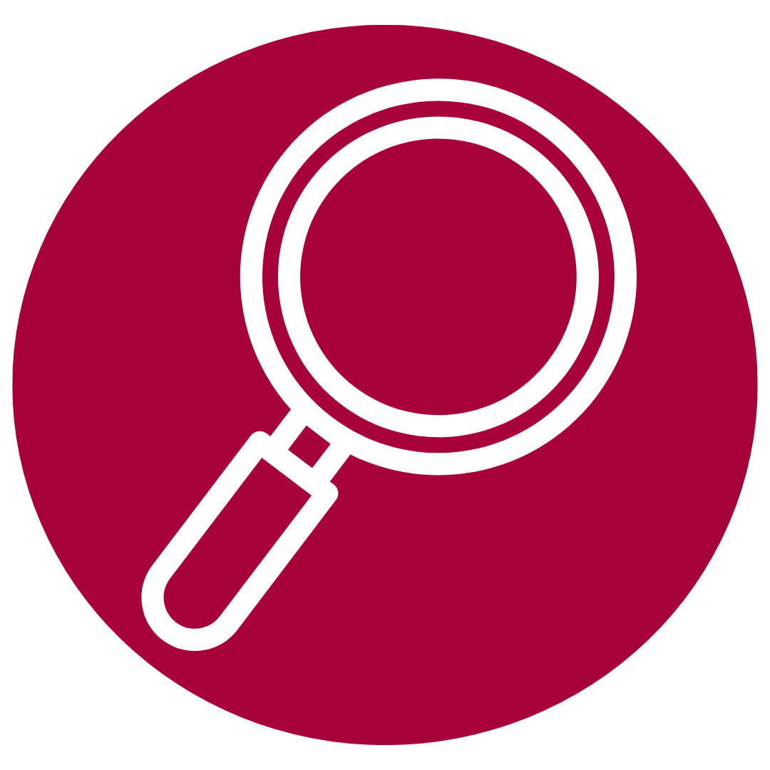 An icon showing a magnifying glass.